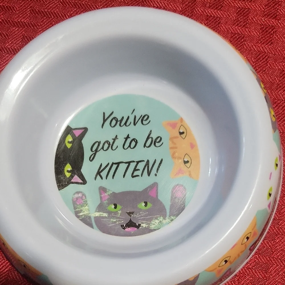 Cat-Themed Ceramic Pet Bowls